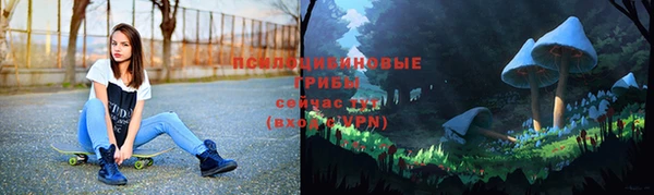 spice Козельск