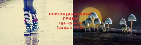 СК Абаза