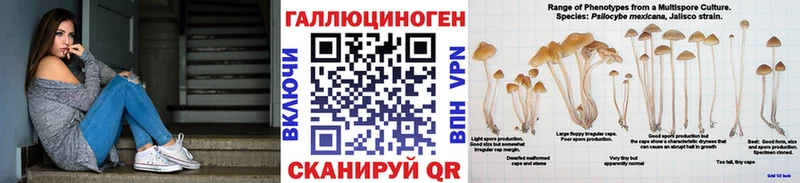 Псилоцибиновые грибы прущие грибы  дарнет шоп  Ступино 