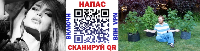 Бошки марихуана SATIVA & INDICA Ступино